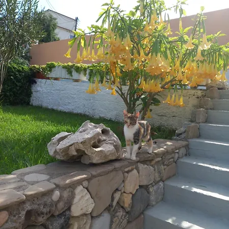 Casa de Férias Natassa House 2